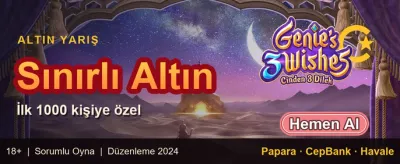 Günlük %100 Yatırım Bonusu promotion